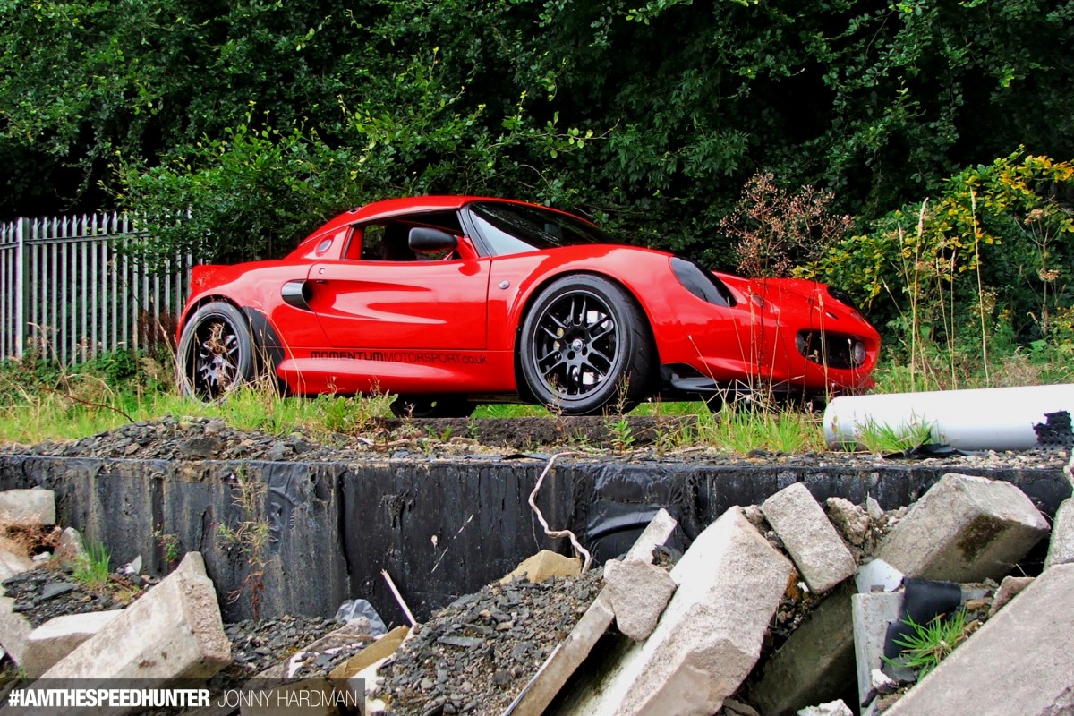 lotus3