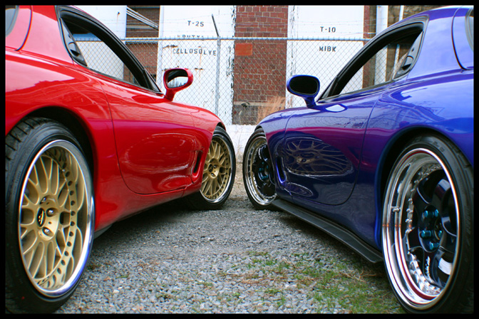 Random Snap>>things Of Beauty