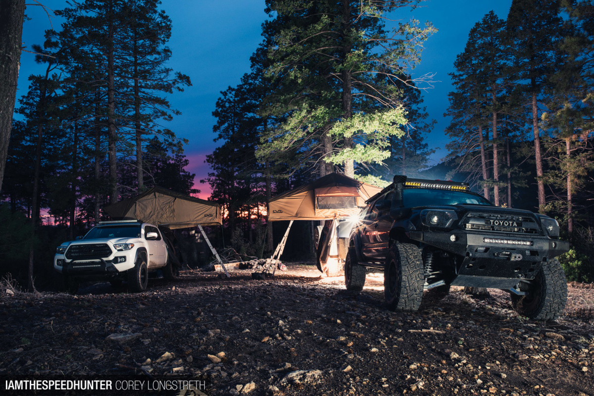 Into The Wild With The Rotiform SIX-OR