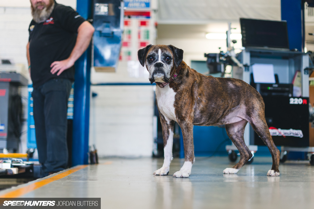 Project RS4 Carbon Clean Regal Autosport by Jordan Butters Speedhunters-7059