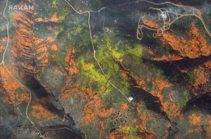 satellites-just-photographed-california-s-dazzling-super-bloom-of-spring-flowers-from-outer-space__669254_