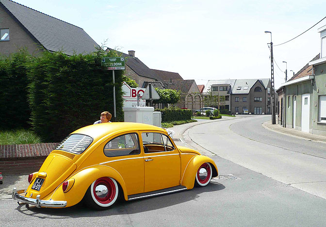 Random Snap>> Yellow Bug
