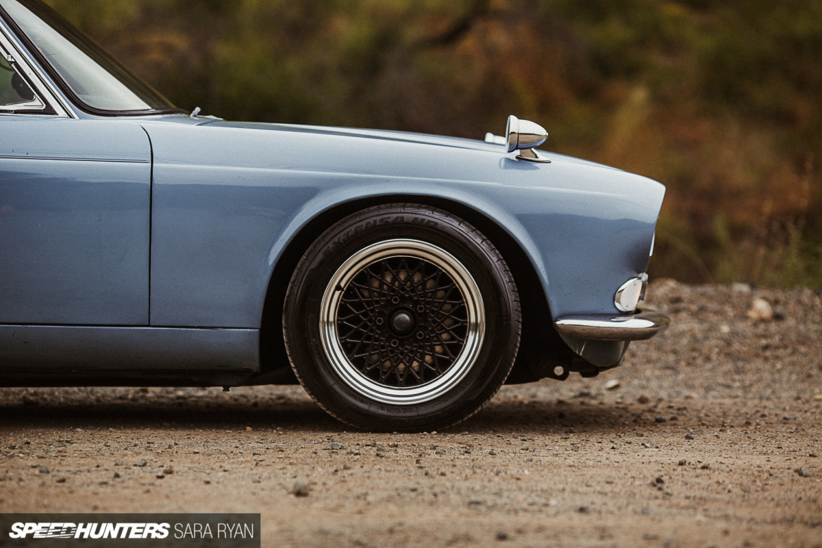 Jaguar-1113