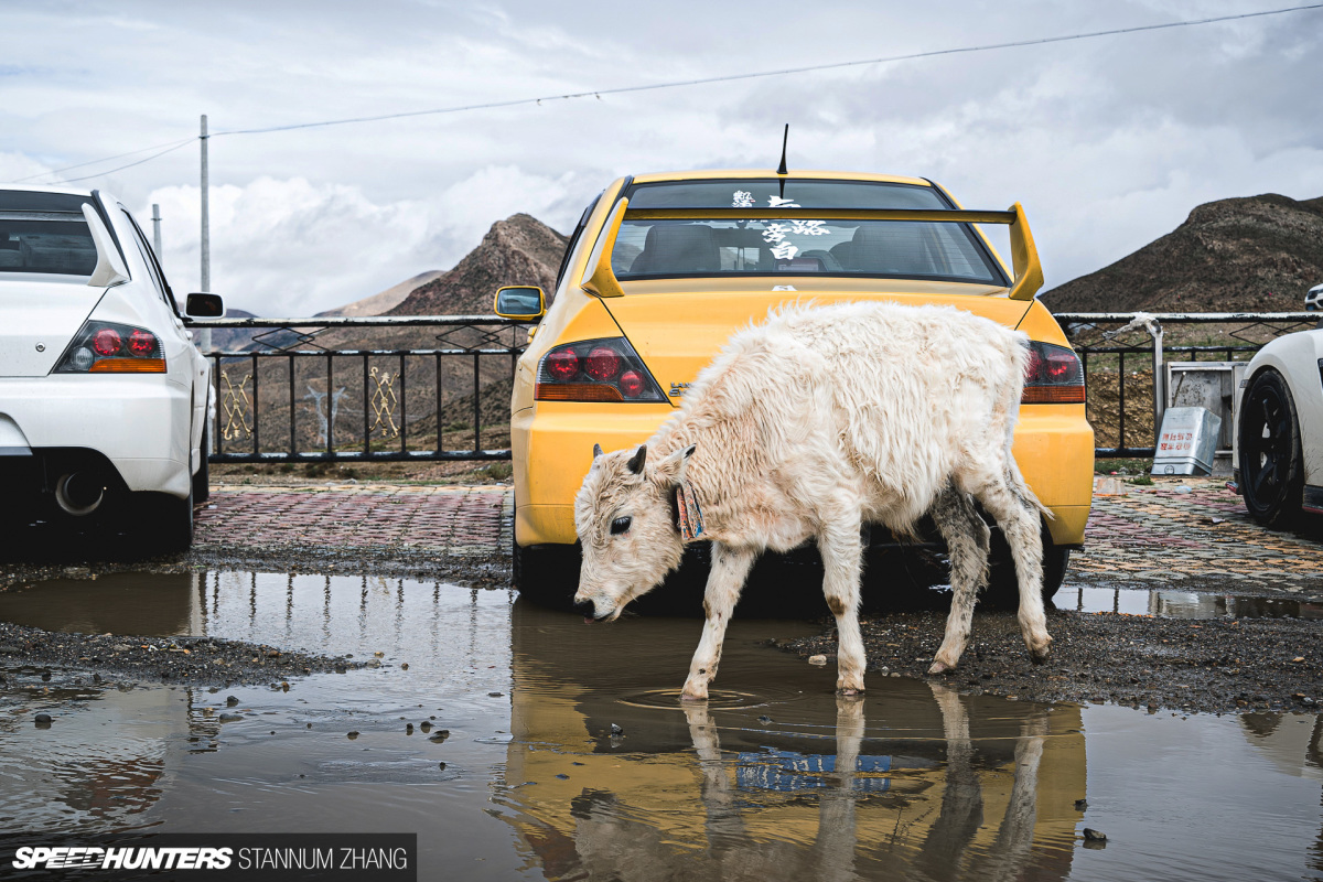 SH-Tibet-23